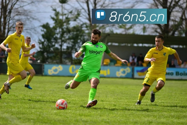 米兰app官网登录发展历程