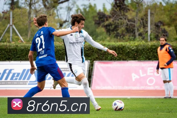 德甲积分榜实时更新：争冠保级形势全览，附最新赛果